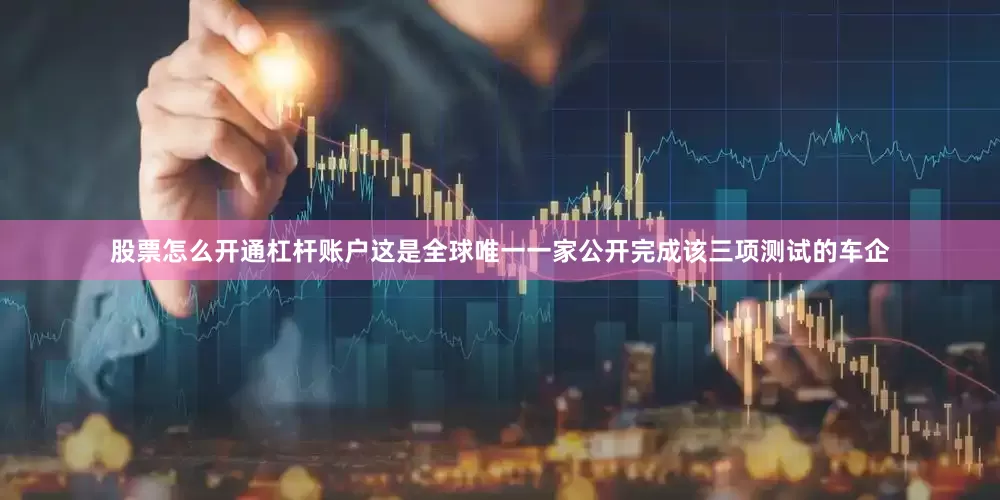 股票怎么开通杠杆账户这是全球唯一一家公开完成该三项测试的车企