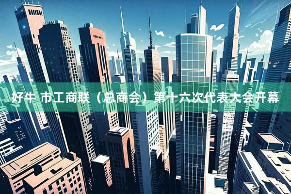 好牛 市工商联（总商会）第十六次代表大会开幕