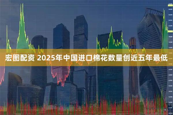 宏图配资 2025年中国进口棉花数量创近五年最低